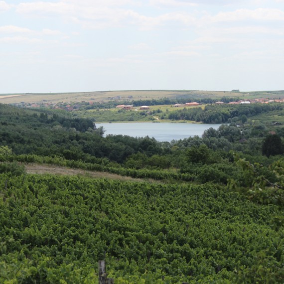 A Pajdosból jól látszik az Ostorosi-tó